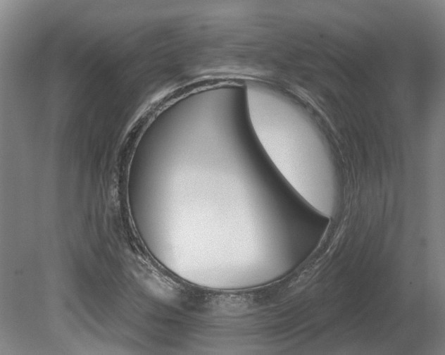 X0000079311307200611170844