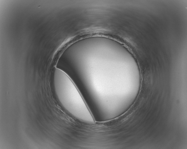 X0000079311309200611170844