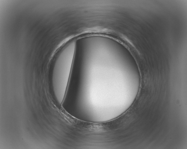 X0000079311315200611170844