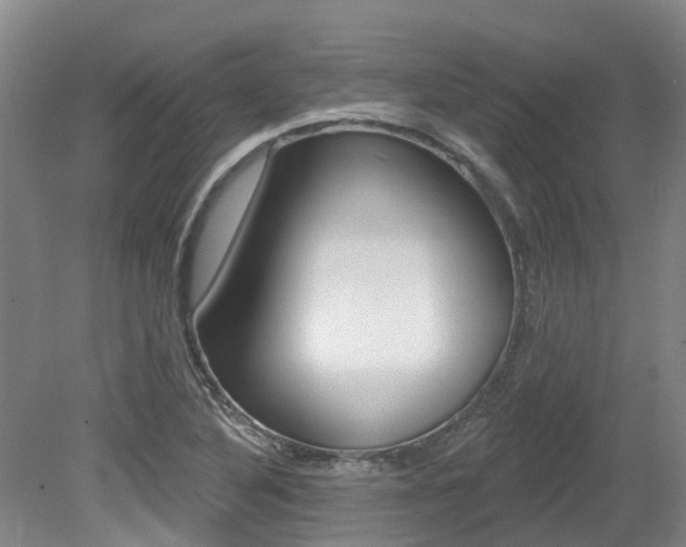 X0000079311316200611170844