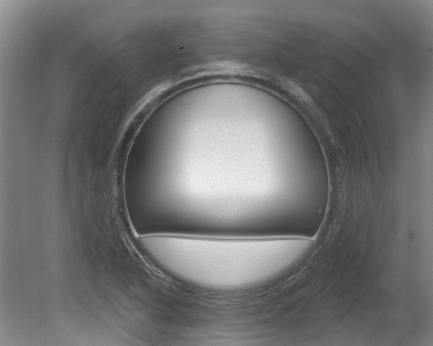 X0000079311318200611170844