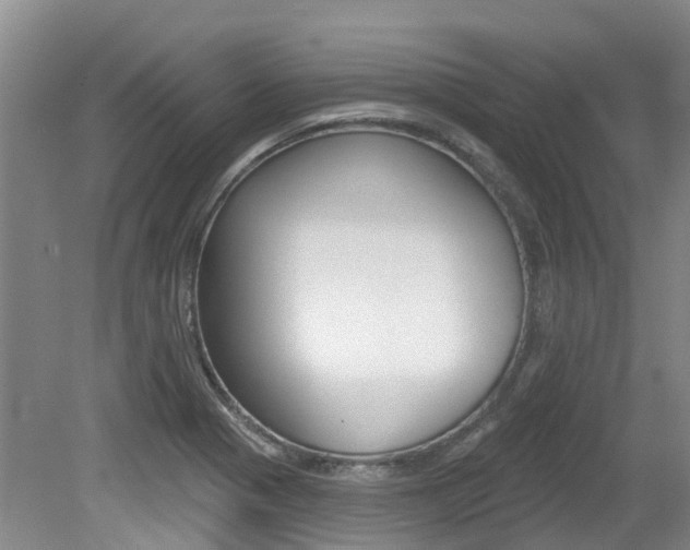 X0000079311321200611170845