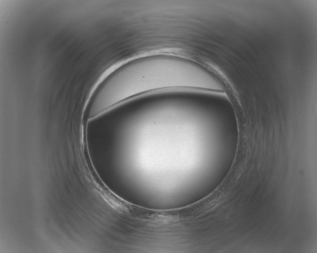 X0000079311324200611170845