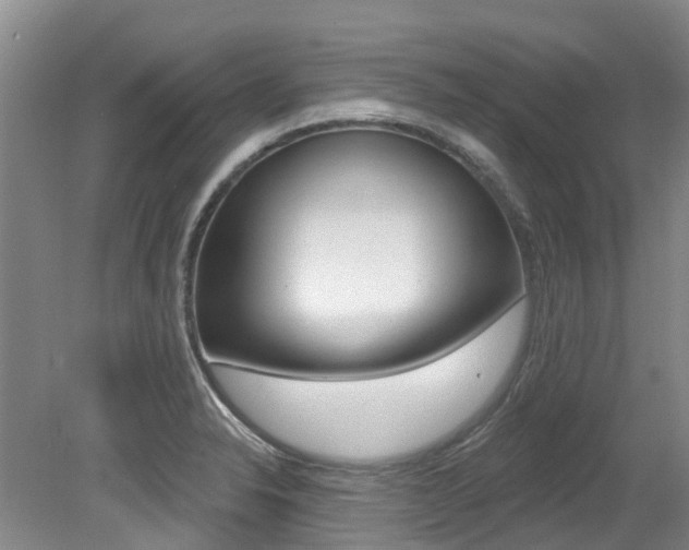 X0000079311326200611170845