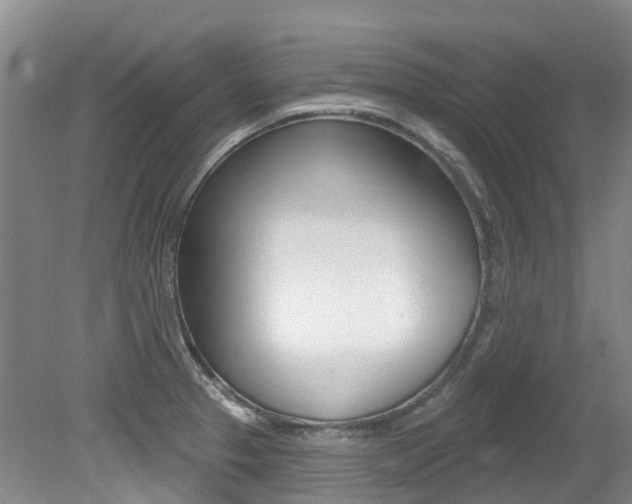 X0000079311329200611170845