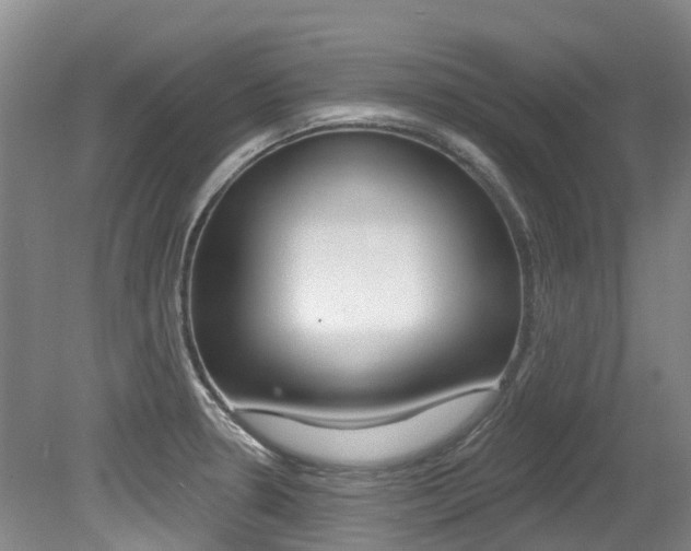 X0000079311330200611170845
