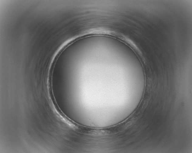 X0000079311331200611170845