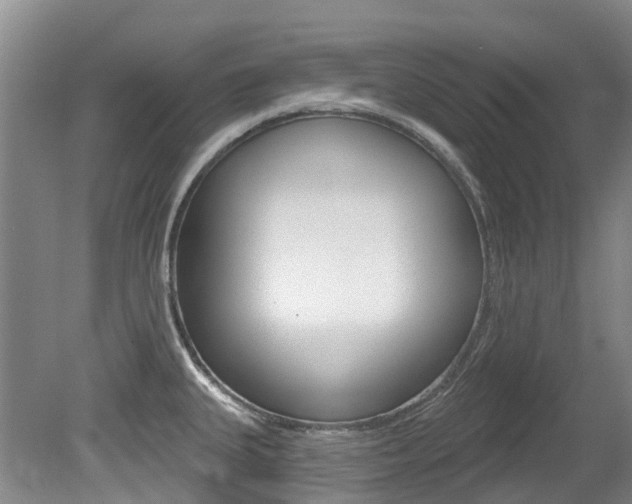 X0000079311335200611170845