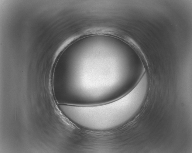X0000079311336200611170845
