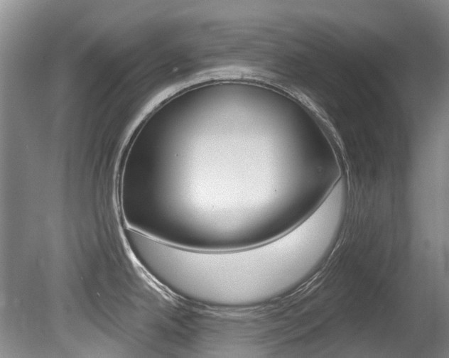 X0000079311342200611170845