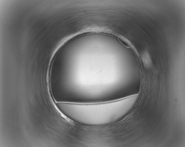 X0000079311343200611170845