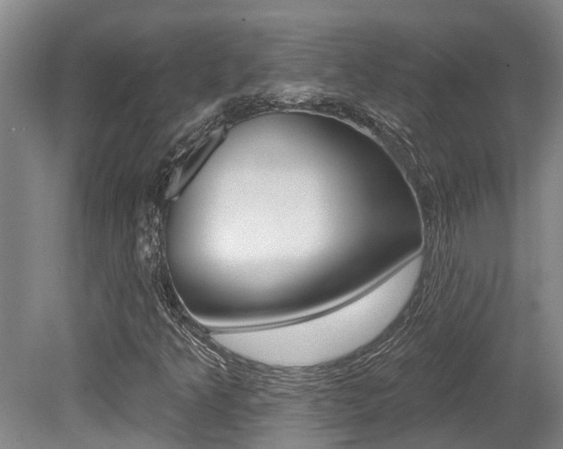 X0000079311349200611170844