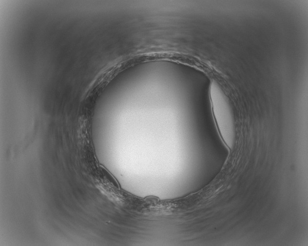 X0000079311351200611170844
