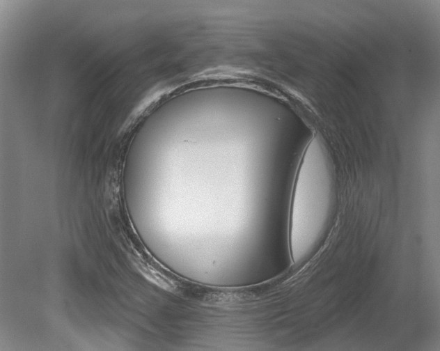 X0000079311355200611170844