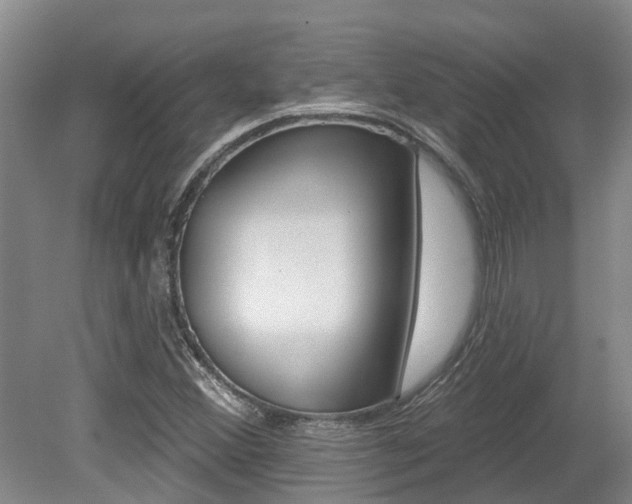 X0000079311356200611170844