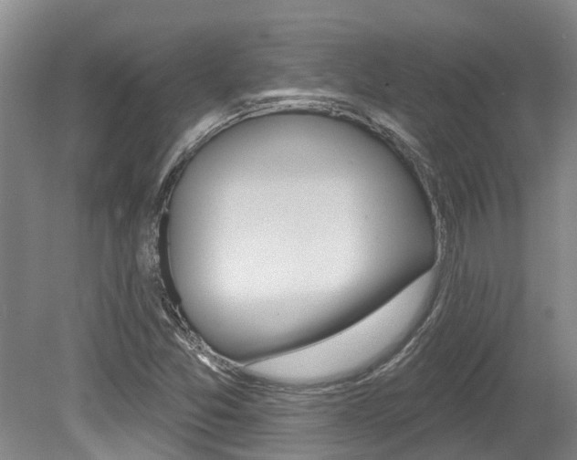 X0000079311357200611170844