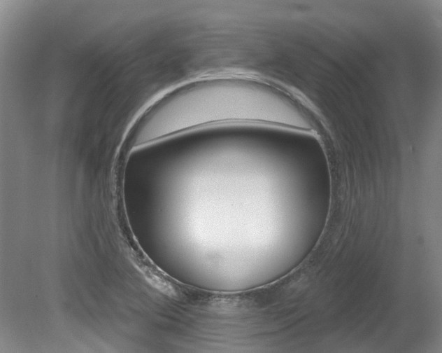 X0000079311364200611170844