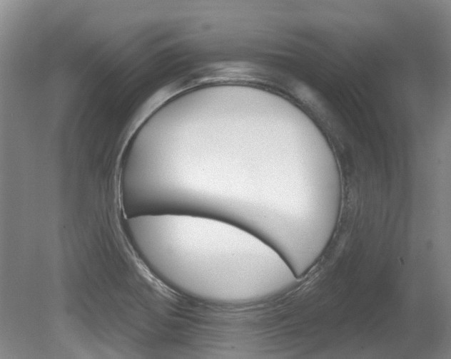 X0000079311370200611170844