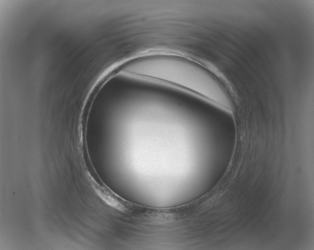 X0000079311372200611170844