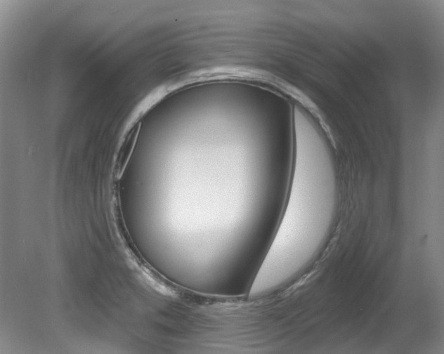 X0000079311373200611170844