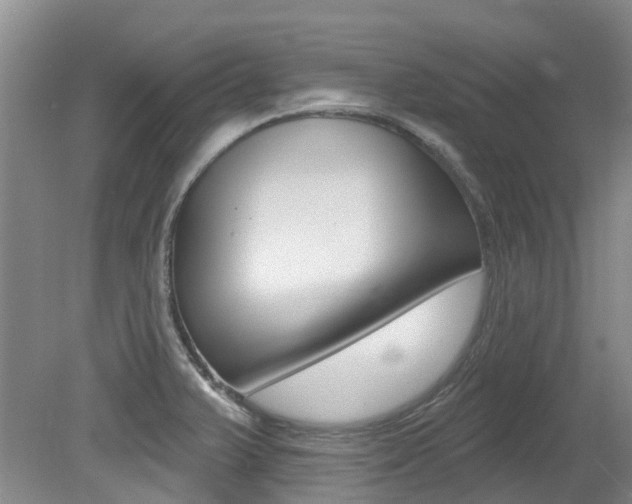X0000079311375200611170844