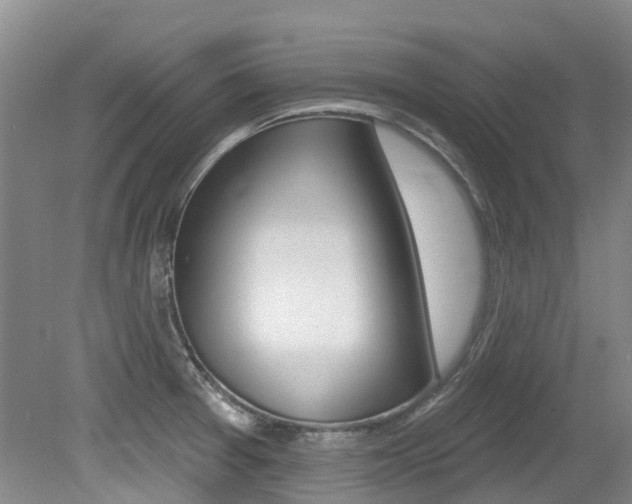X0000079311377200611170844