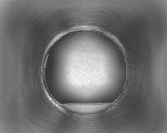 X0000079311381200611170843