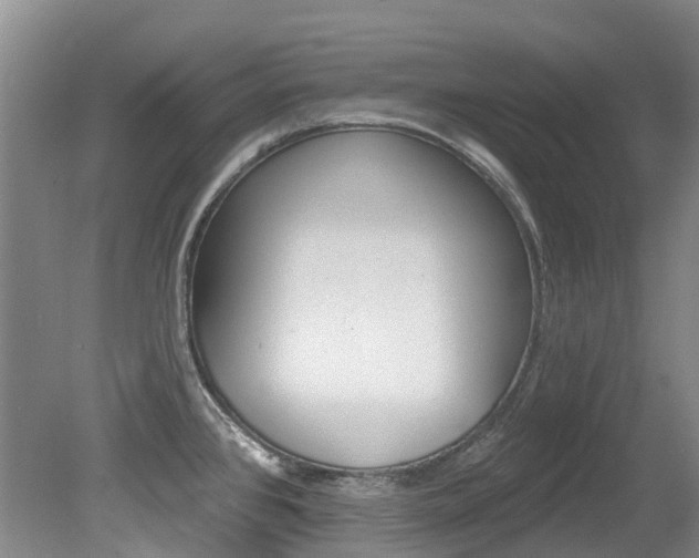 X0000079311384200611170843