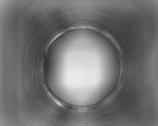 X0000079311385200611170843