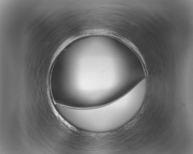 X0000079311389200611170843