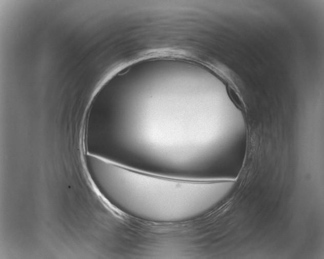 X0000079311391200611170843