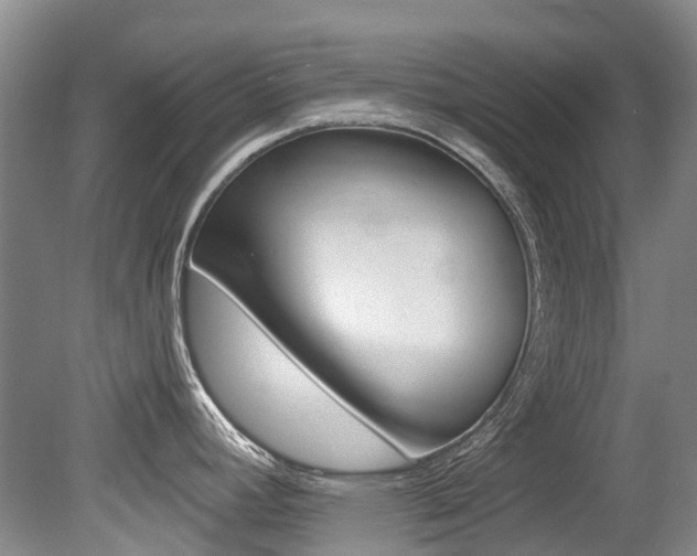 X0000079311392200611170843