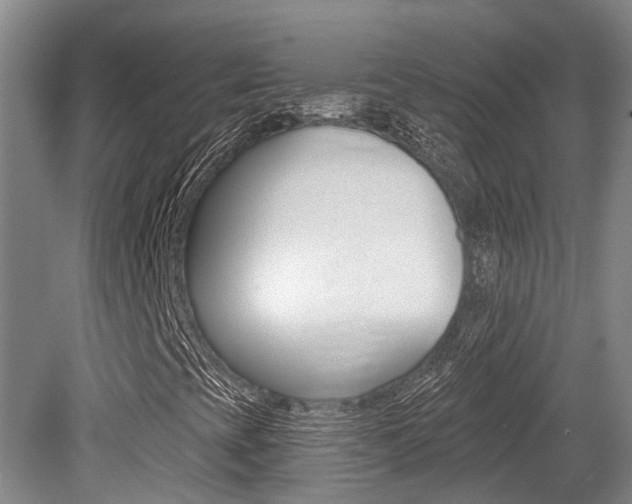 X0000079311393200611170842