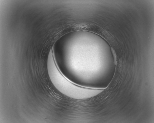 X0000079311394200611170843