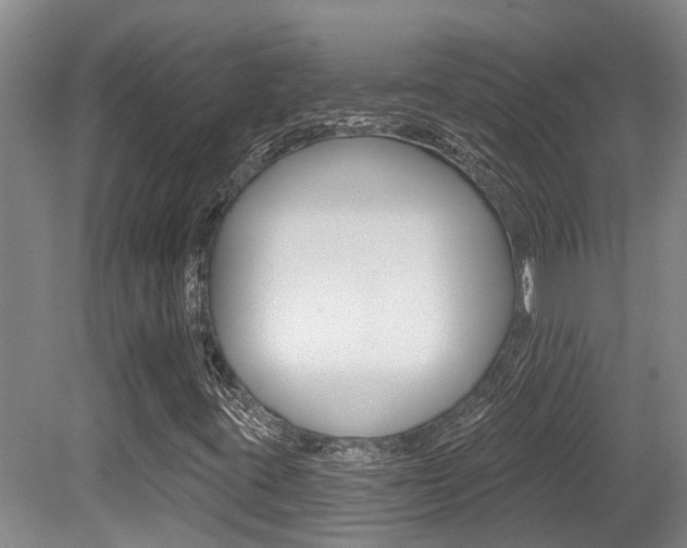X0000079311395200611170843