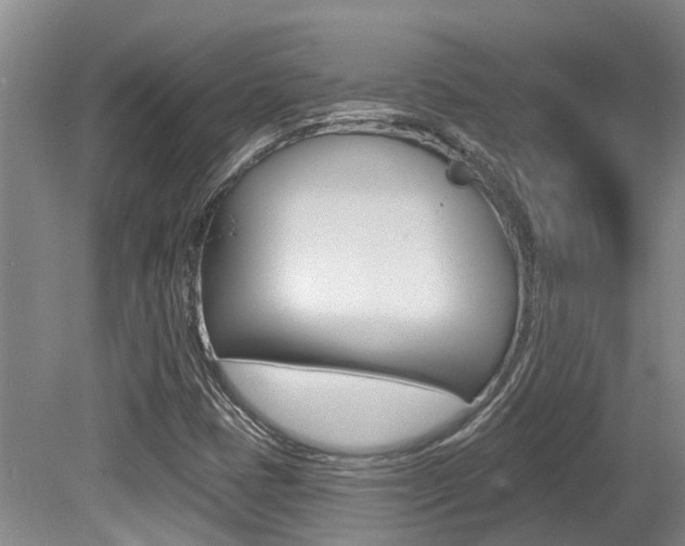 X0000079311401200611170843