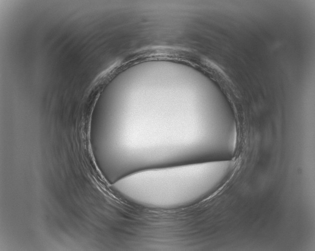 X0000079311403200611170843