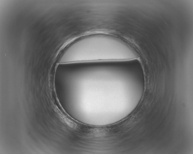 X0000079311404200611170843