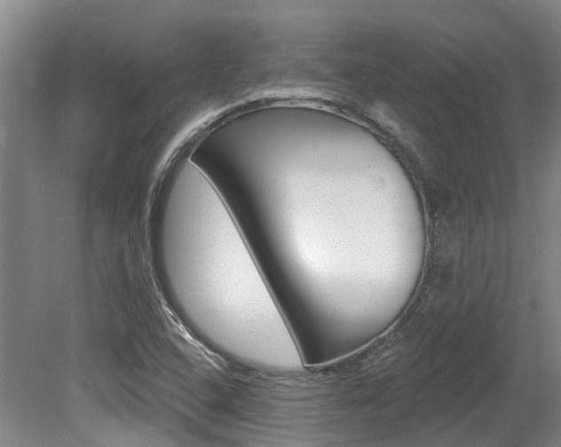 X0000079311408200611170843
