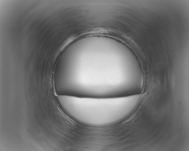 X0000079311409200611170843