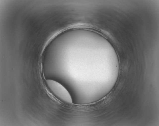 X0000079311413200611170843