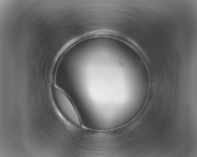 X0000079311418200611170843