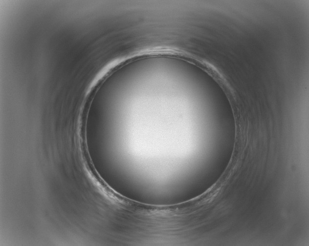 X0000079311422200611170843