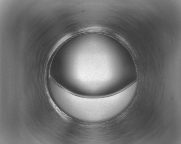 X0000079311426200611170843