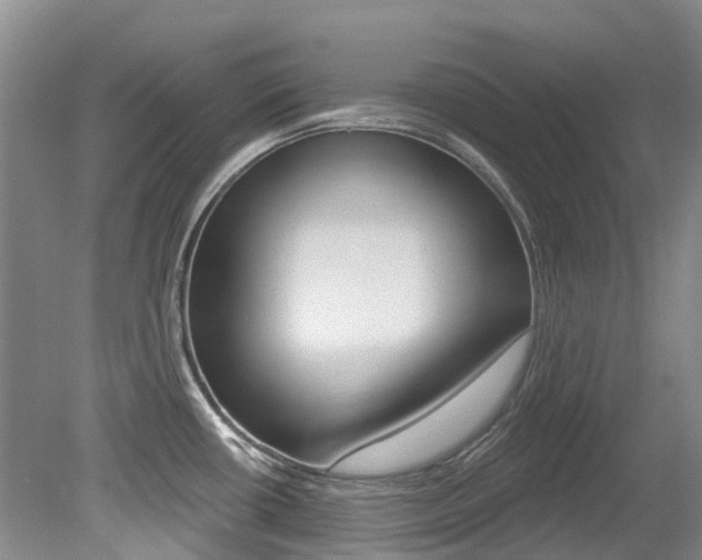X0000079311434200611170843