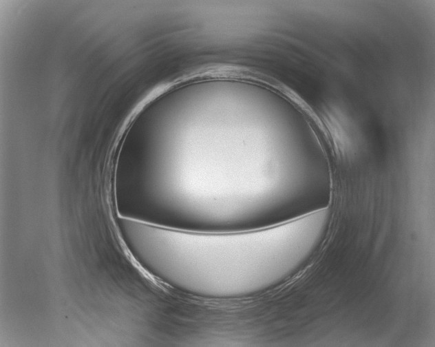 X0000079311437200611170843
