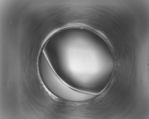 X0000079311438200611170843