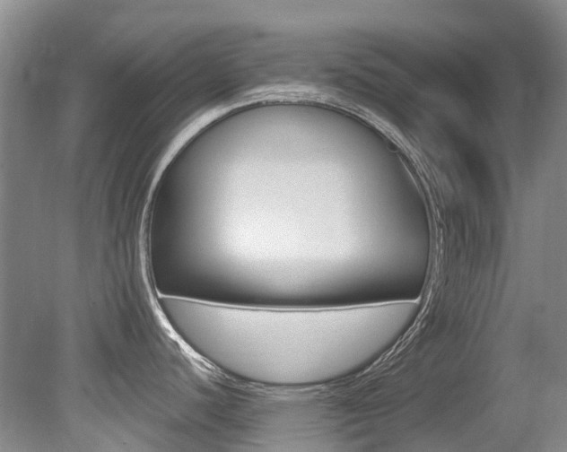 X0000079311440200611170843