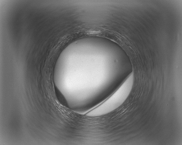 X0000079311441200611170842