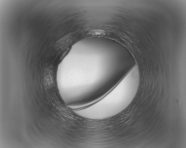 X0000079311442200611170842